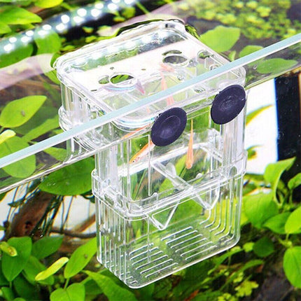Fish Breeding Box for Tank Multifunctional Incubator Isolation Aquarium - Aimall