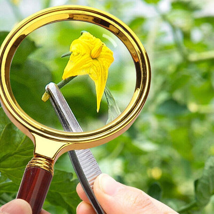 15X Magnifier Magnifying Glass Loupe Reading Jewelry Aid Big Large Handheld 60MM - Aimall