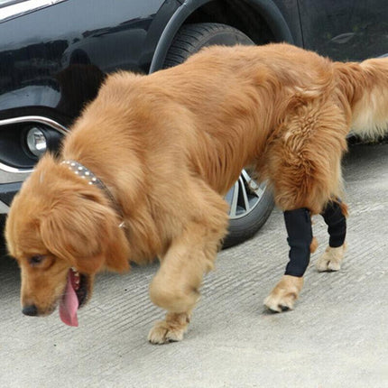 S/M/L/XL Pet Dog Knee Support Brace Leg Hock Front Back Protector Compression - Aimall