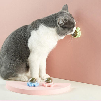 Interactive Catnip Mint Ball Toy for Kittens