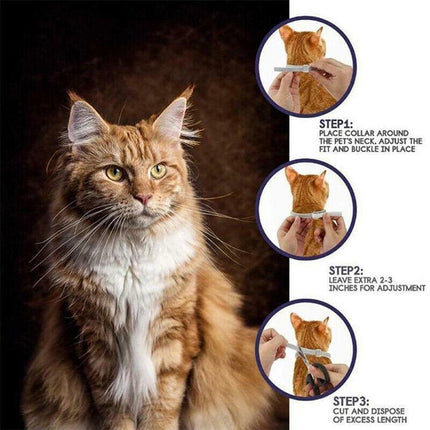 Adjustable Pet Anti Flea Tick Neck Collar for Dog Cat Kitten 8 Months Protect*AU - Aimall