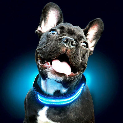 USB Rechargeable LED Dog Collar Nylon Glow Flashing Light Up Pet Safety Collars - Aimall