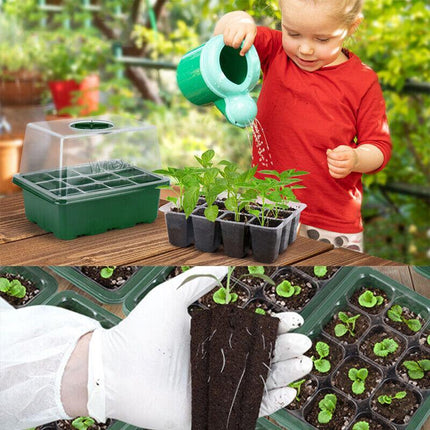 3/5/10 Set 12 Hole Plant Seed Grow Box Propagation Nursery Seedling Starter Tray - Aimall