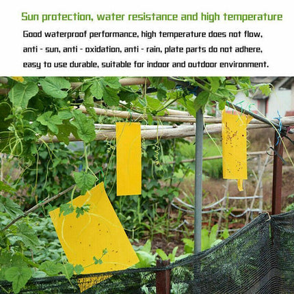 Up 60 pc Yellow Sticky paper Insect Trap Catcher Killer Fly Aphids Wasp AU - Aimall