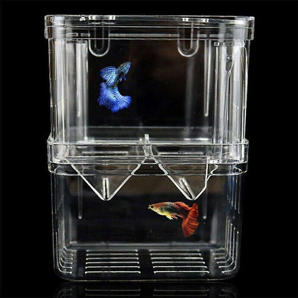 Fish Breeding Box for Tank Multifunctional Incubator Isolation Aquarium - Aimall