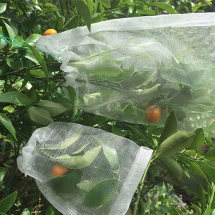 100x/Set Fruit Fly Protection Bags Exclusion Net Storage Mesh Stop Pest Bug Bags - Aimall