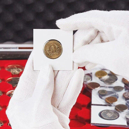 100X Staple Coin Holder Display Clear Window Storage Protect Penny Cent - Aimall