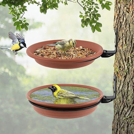 Hanging Bird Feeder in a Garden Setting