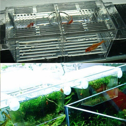 Large Breeding Aquarium Fish Tank Guppy Hatchery Breeder Rearing Isolation Box - Aimall