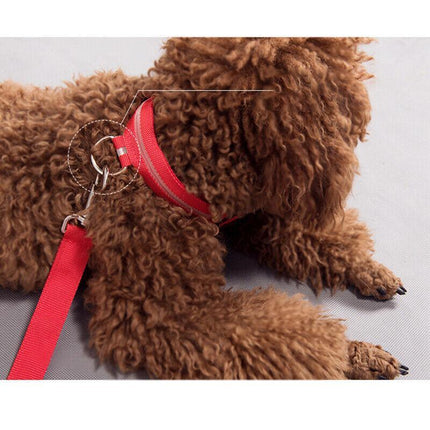 USB Rechargeable LED Dog Collar Nylon Glow Flashing Light Up Pet Safety Collars - Aimall