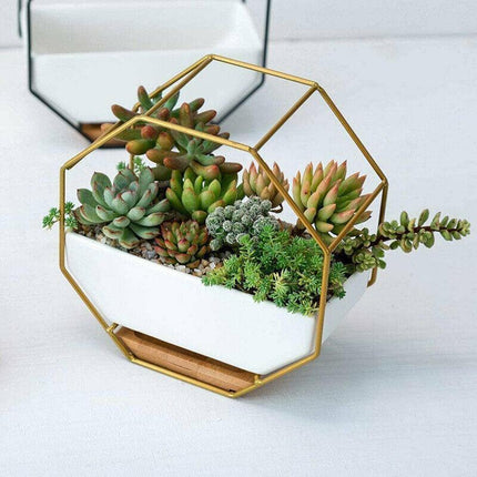 Flower Plant Pot Indoor Outdoor Garden Wall Hanging Succulent Planter Pot Vase A - Aimall