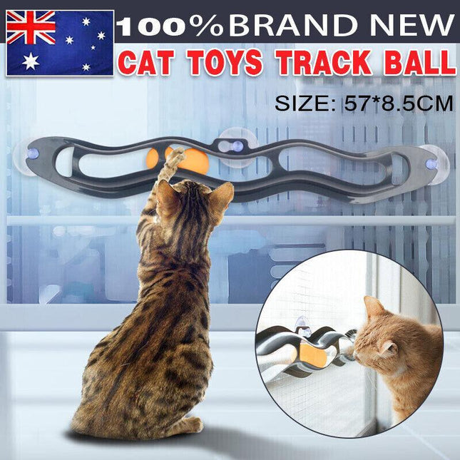 Window Suction Cup Funny Cat Toys Track Bal Cat Pet Toy Interactive Track Ball - Aimall