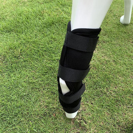 S/M/L/XL Pet Dog Knee Support Brace Leg Hock Front Back Protector Compression - Aimall