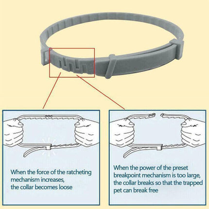 Adjustable Pet Anti Flea Tick Neck Collar for Dog Cat Kitten 8 Months Protect*AU - Aimall