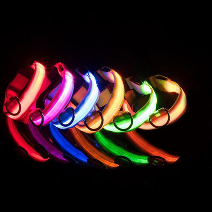 USB Rechargeable LED Dog Collar Nylon Glow Flashing Light Up Pet Safety Collars - Aimall