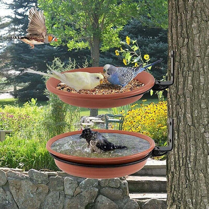 Hanging Bird Feeder in a Garden Setting
