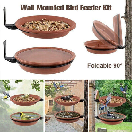 Hanging Bird Feeder in a Garden Setting