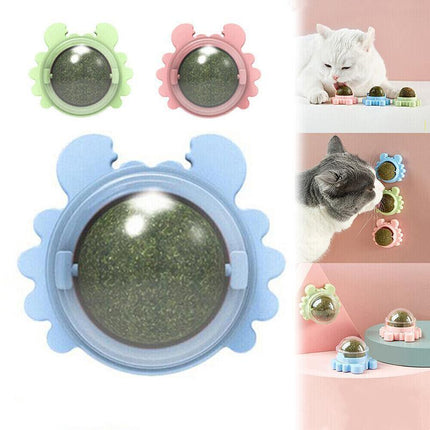 Interactive Catnip Mint Ball Toy for Kittens