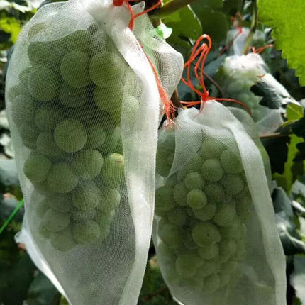 10/50X Fruit Net Bags Agriculture Garden Vegetable Protection Mesh Insect Proof - Aimall