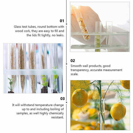 50/100X Clear Plastic Test Tube With Wooden Cork Stopper Wedding Favors Bottles - Aimall