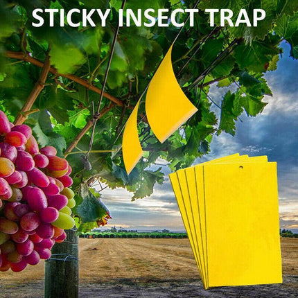 Up 60 pc Yellow Sticky paper Insect Trap Catcher Killer Fly Aphids Wasp AU - Aimall