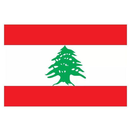 Large Lebanon Lebanese Flag Heavy Duty Outdoor LB 90x150cm - 3x5ft Stock - Aimall