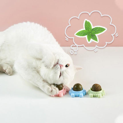Interactive Catnip Mint Ball Toy for Kittens