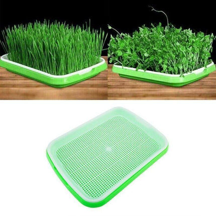 Microgreens tray, Seeding Cloning Hydroponic Germination Bean Sprout Planting AU - Aimall