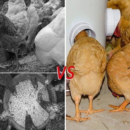 New Chicken Feeder Poultry Pro Feeder DIY Port PVC Gravity Fed Chicken Feeder - Aimall