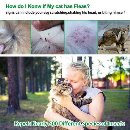 Adjustable Pet Anti Flea Tick Neck Collar for Dog Cat Kitten 8 Months Protect*AU - Aimall