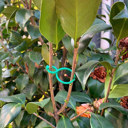 100pcs Garden Plant Clip Reusable Fruits Tomato Vine Grow Support Holder Straps - Aimall