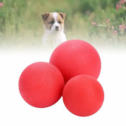 2PCS Solid Floating Training Rubber Ball Pet Puppy Dog Chew Play Fetch Bite Toy - Aimall