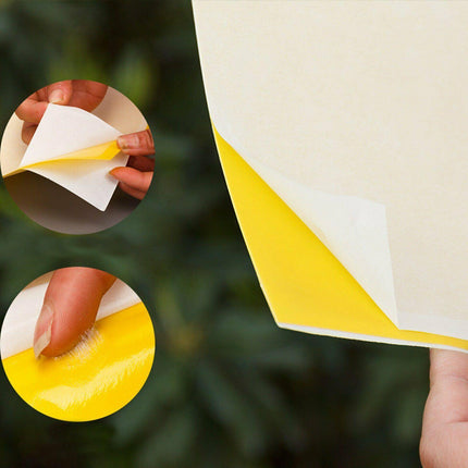 Up 60 pc Yellow Sticky paper Insect Trap Catcher Killer Fly Aphids Wasp AU - Aimall