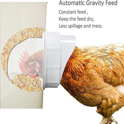 New Chicken Feeder Poultry Pro Feeder DIY Port PVC Gravity Fed Chicken Feeder - Aimall