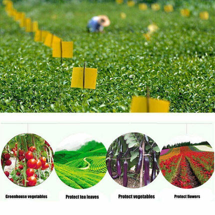 Up 60 pc Yellow Sticky paper Insect Trap Catcher Killer Fly Aphids Wasp AU - Aimall