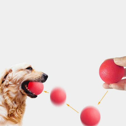 2PCS Solid Floating Training Rubber Ball Pet Puppy Dog Chew Play Fetch Bite Toy - Aimall