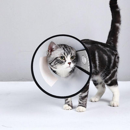 Pet Dog Cat Cone Protective Collar Wound Healing Medical Elizabethan E-collar AU - Aimall