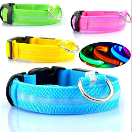 USB Rechargeable LED Dog Collar Nylon Glow Flashing Light Up Pet Safety Collars - Aimall