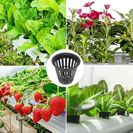 40pcs Hydroponics Plant Grow Net Cup Mesh Pot Basket Mesh Aeroponic Aquaponic AU - Aimall