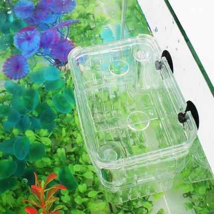 Fish Breeding Box for Tank Multifunctional Incubator Isolation Aquarium - Aimall