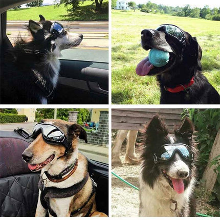 Fashion Pet Dog Doggles Goggles UV Sunglasses Sun Glasses Eye Wear Protection - Aimall
