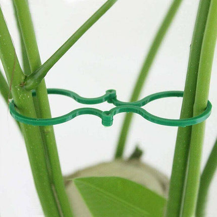 100pcs Garden Plant Clip Reusable Fruits Tomato Vine Grow Support Holder Straps - Aimall