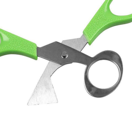 Pigeon Quail Egg Scissors Cracker Opener Cigar Cutter Tool Stainless Steel - Aimall