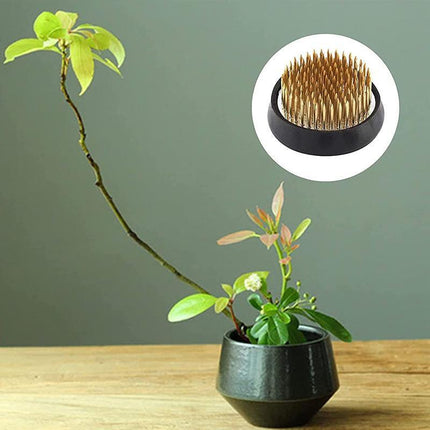 Round Flower Base Holder Spiky Frog Fixed Tool Floral Arrange For Ikebana Kenzan - Aimall
