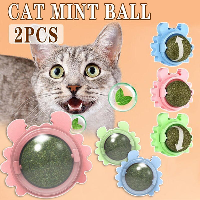 2PCS Rotatable Catnip Mint Ball Cat Treat Toys Snack Licking Kitten Pet Molar AU - Aimall