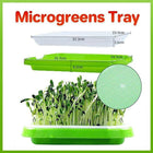 Microgreens tray, Seeding Cloning Hydroponic Germination Bean Sprout Planting AU - Aimall