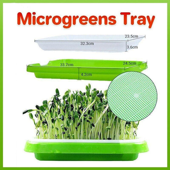 Microgreens tray, Seeding Cloning Hydroponic Germination Bean Sprout Planting AU - Aimall