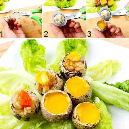 Pigeon Quail Egg Scissors Cracker Opener Cigar Cutter Tool Stainless Steel - Aimall