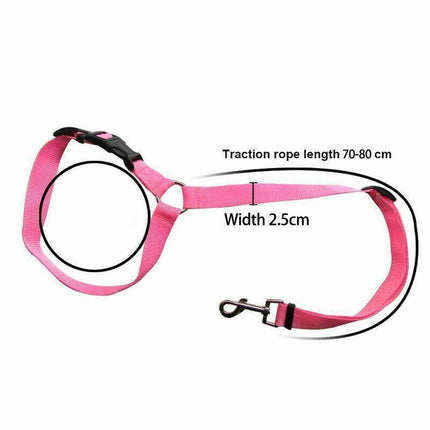 Dog Pet Safety Seat belt Clip for Car Vehicle Seatbelt Adjustable Harness LeadAU - Aimall