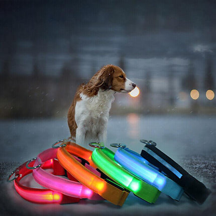 USB Rechargeable LED Dog Collar Nylon Glow Flashing Light Up Pet Safety Collars - Aimall